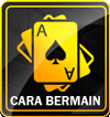 Cara Bermain Di ALADIN66