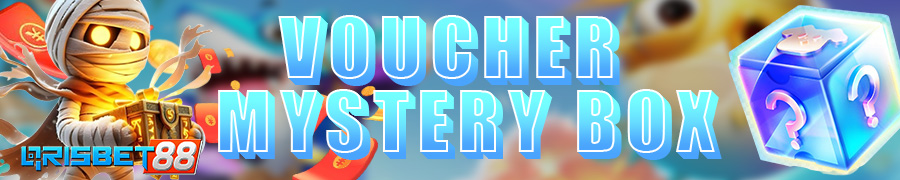 BONUS MYSTERY BOX